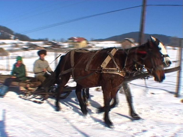 Roemeni&euml; - videostill - I'm a European