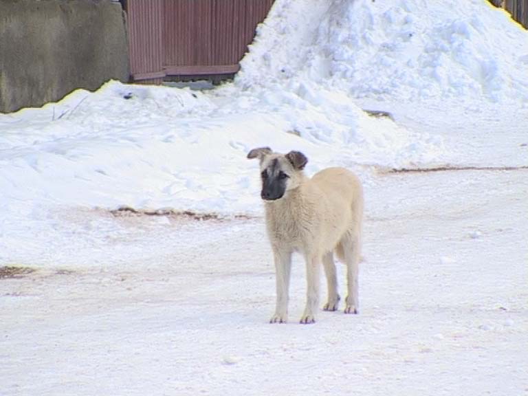 Romania - videostill - I'm a European