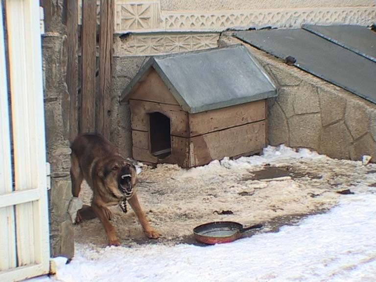 Roemeni&euml; - videostill - I'm a European